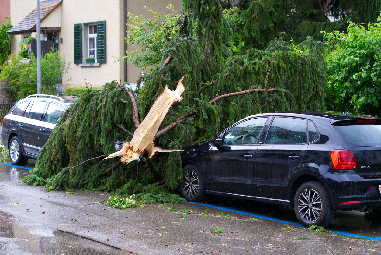 What To Do With a Damaged Car After a Hurricane in Florida