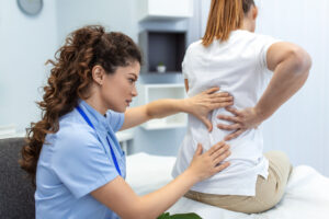 What Is the Structure of Your Spine?