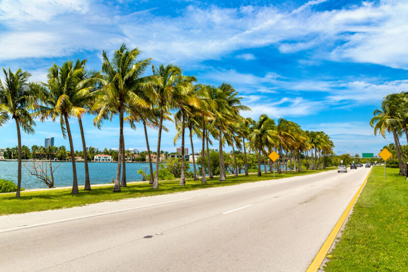 Top 5 Safest Beaches to Swim at in Jacksonville, FL