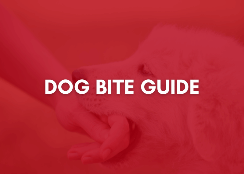 Dog Bite Guide